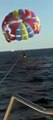 سمكة قرش تهاجم أردني خلال رحلته بالمظلات: فيديو وثق ماحدث