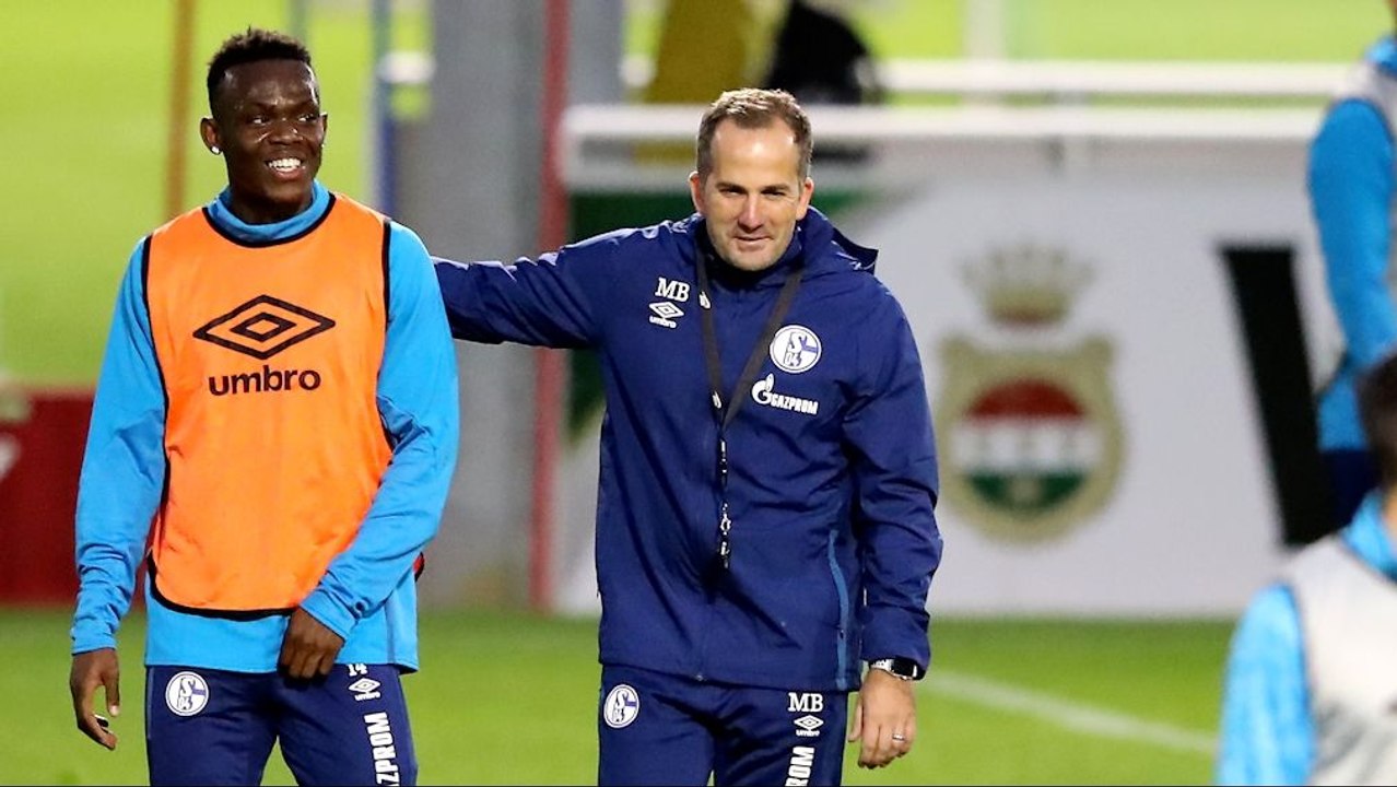 Wenn man das eigene Team auf Platz 15 setzt: 'Der Baum kann nicht tippen'