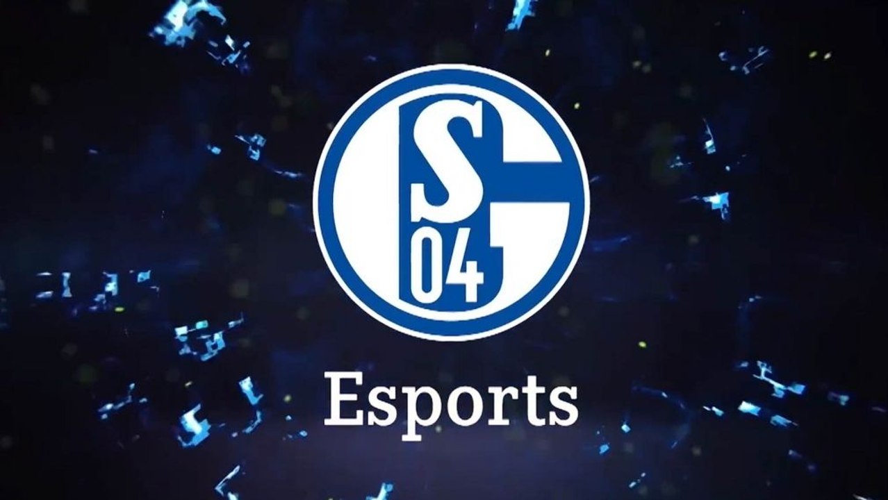 Schalke und das Wunder des LEC Summer Split 2020