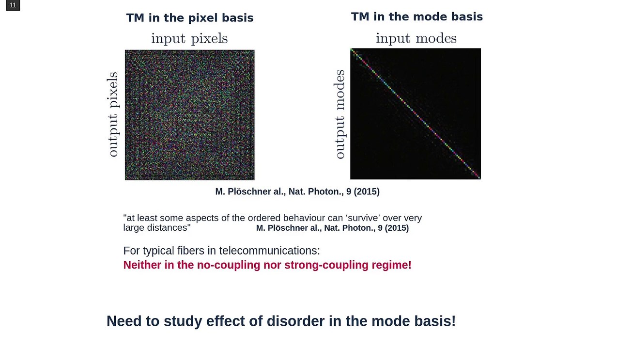 Learning and Avoiding Disorder in Multimode Fibers