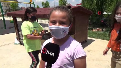 Okulun köpeği kayboldu, öğrenciler her yerde onu arıyor