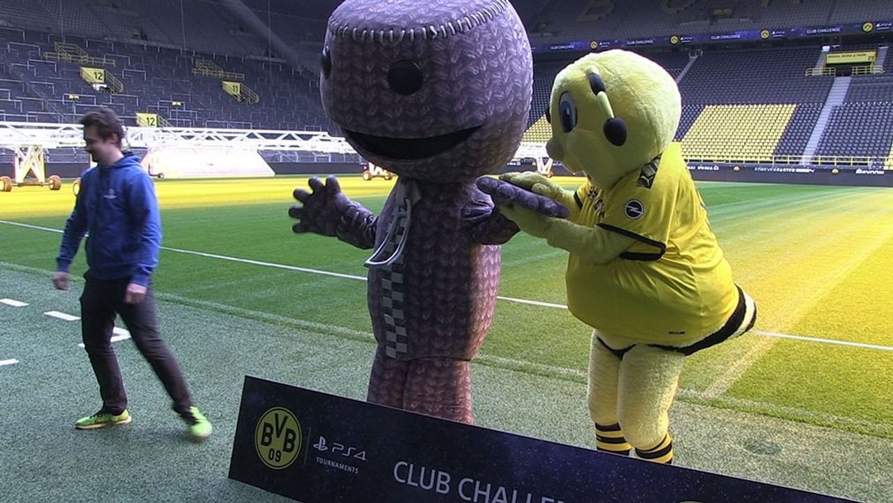 Darum ist EA für Borussia Dortmund so wichtig