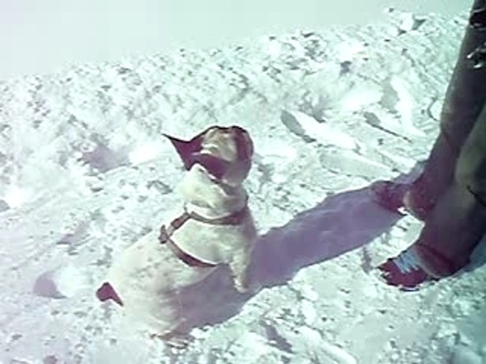 Vidocq et le saut de la mort