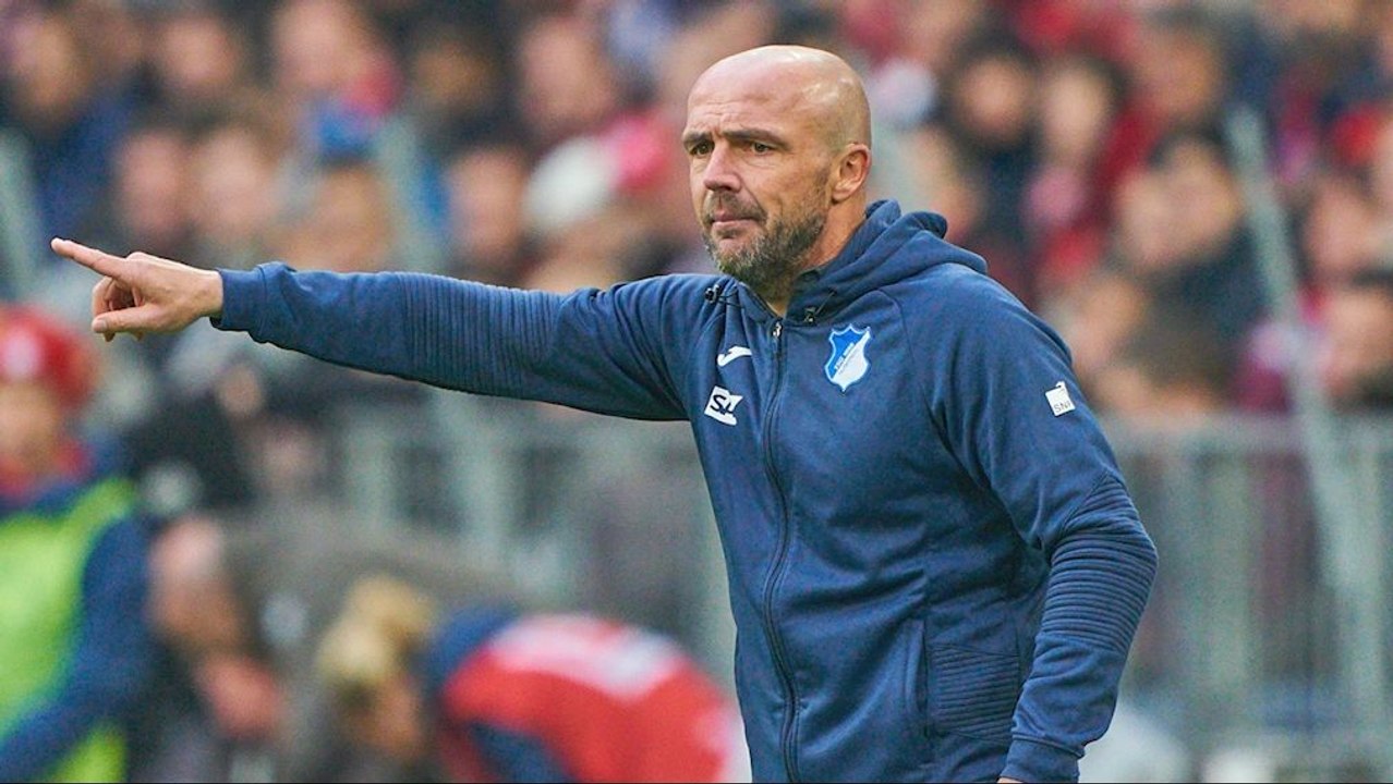 Der 100-Tage-Trainercheck - Alfred Schreuder