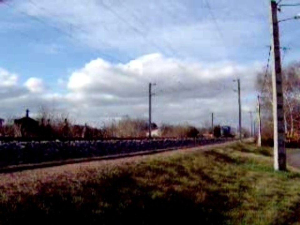 ter