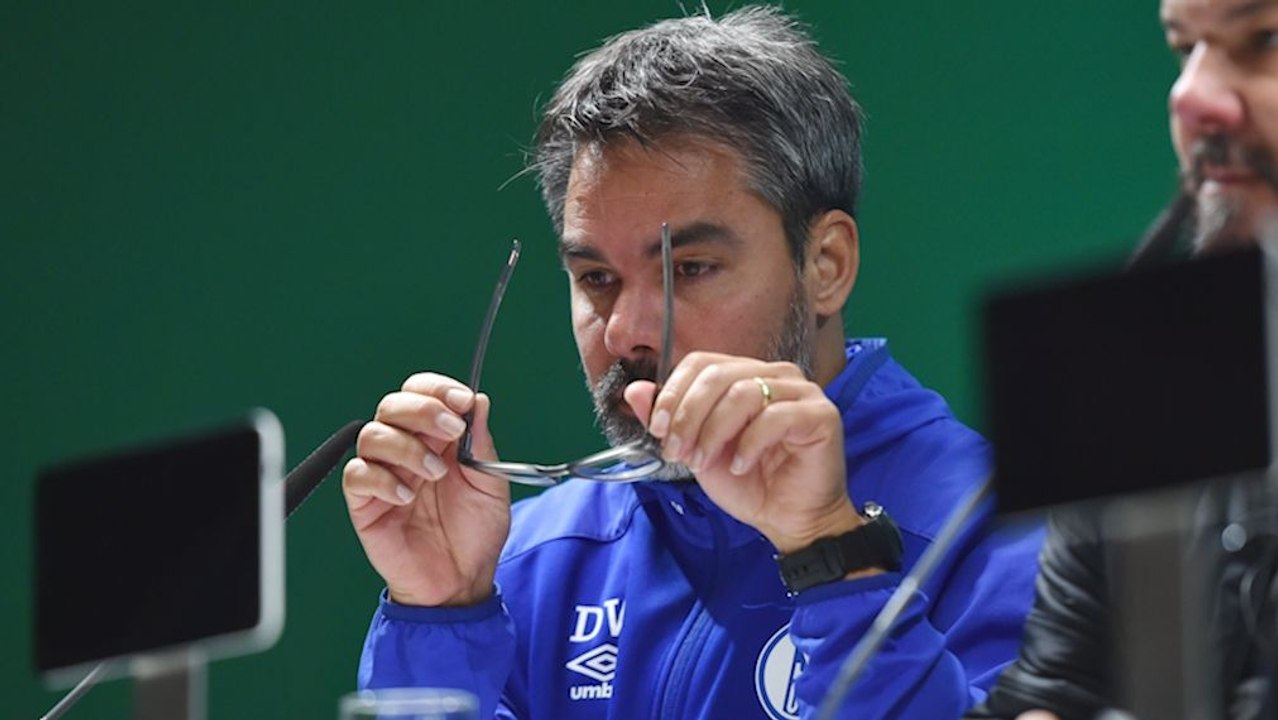 'Das ist schon cool, wie das hier ist' - Schalkes zittriger Weg ins Achtelfinale