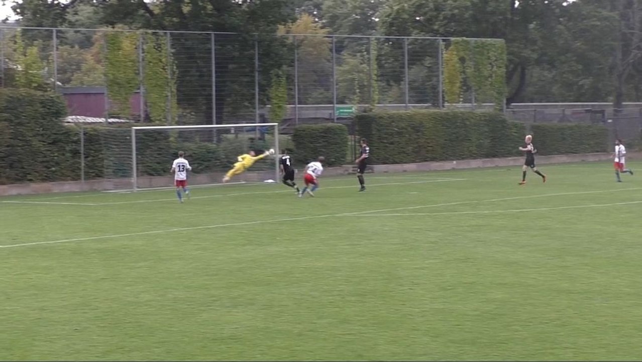 Grandiose Reflexe, gehaltene Elfmeter: Top-Amateur-Paraden im August