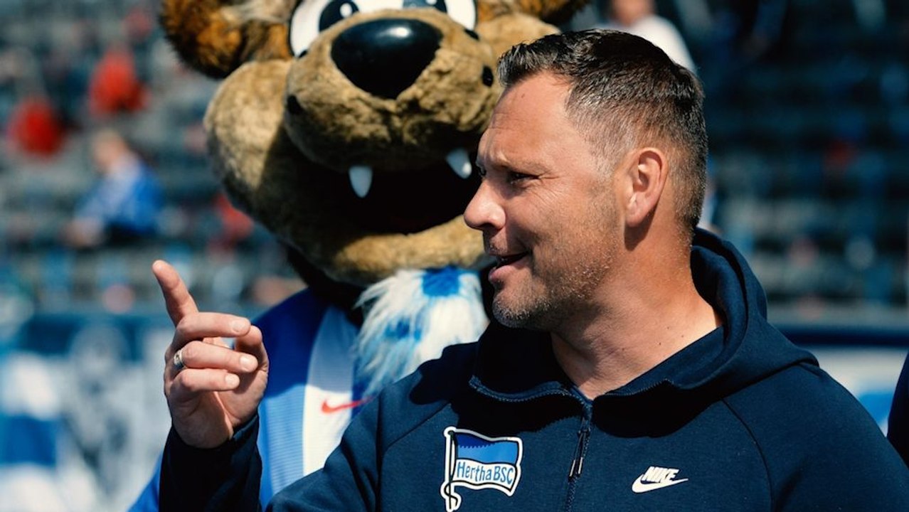 Hertha und Europa? - Dardai hält sich als 'bezahlter Urlauber' zurück