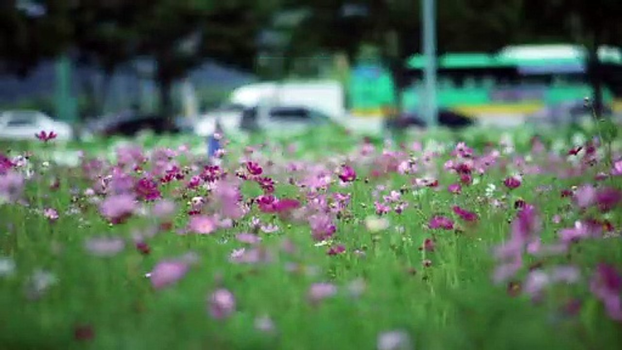 New romantic whatsapp status video