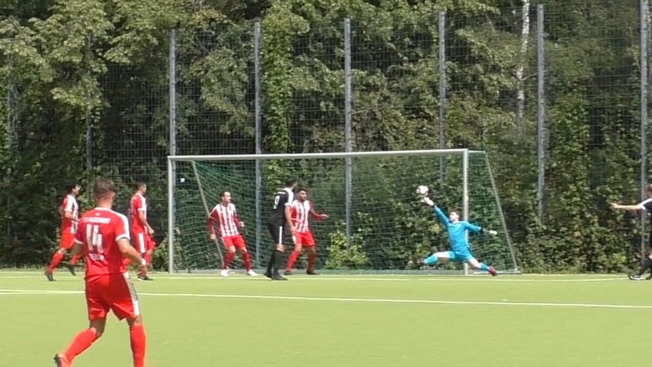 Atemberaubende Flugeinlagen: Die Top-Paraden aus dem Amateurfussball