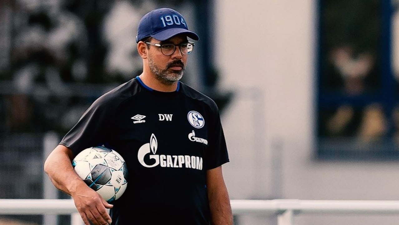 Tönnies-Unruhe auf Schalke - Coach Wagner bezieht Stellung