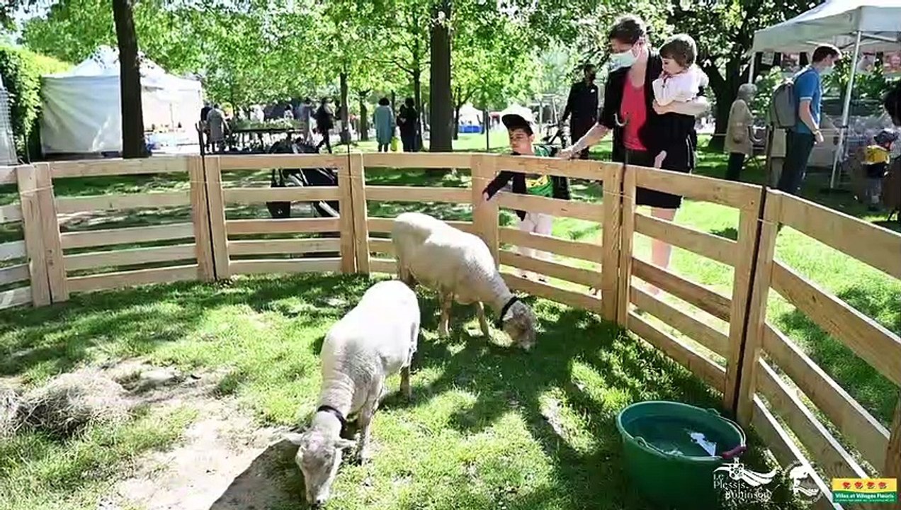 Journée du Développement Durable - 2021