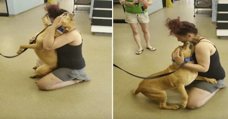 Souhaitant adopter un animal de compagnie dans un refuge, elle retrouve le chien qu'elle a perdu il y a deux ans