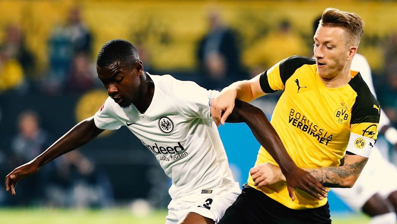 BVB-Express in Frankfurt - Die Gefahr der Büffelherde lauert