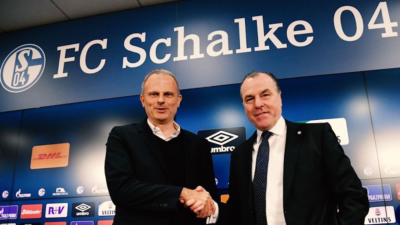 Schneider startet auf Schalke - 'Brauchen jetzt eine Trendwende'