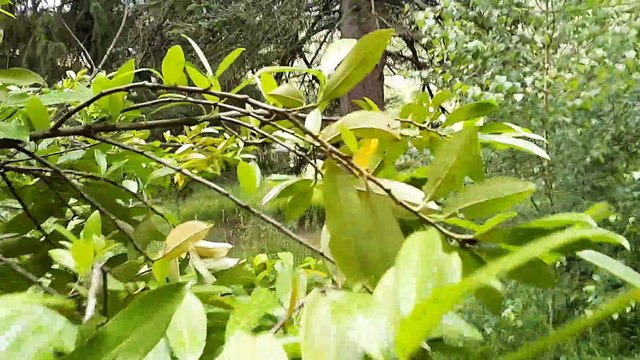 Le cimetière des fous bientôt enseveli par le chantier de la déviation d'Évreux