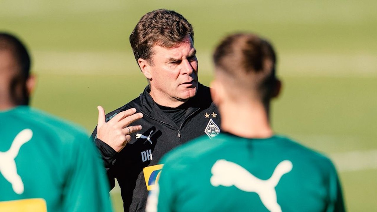 Auswärts in Berlin: Heckings gute Erinnerungen