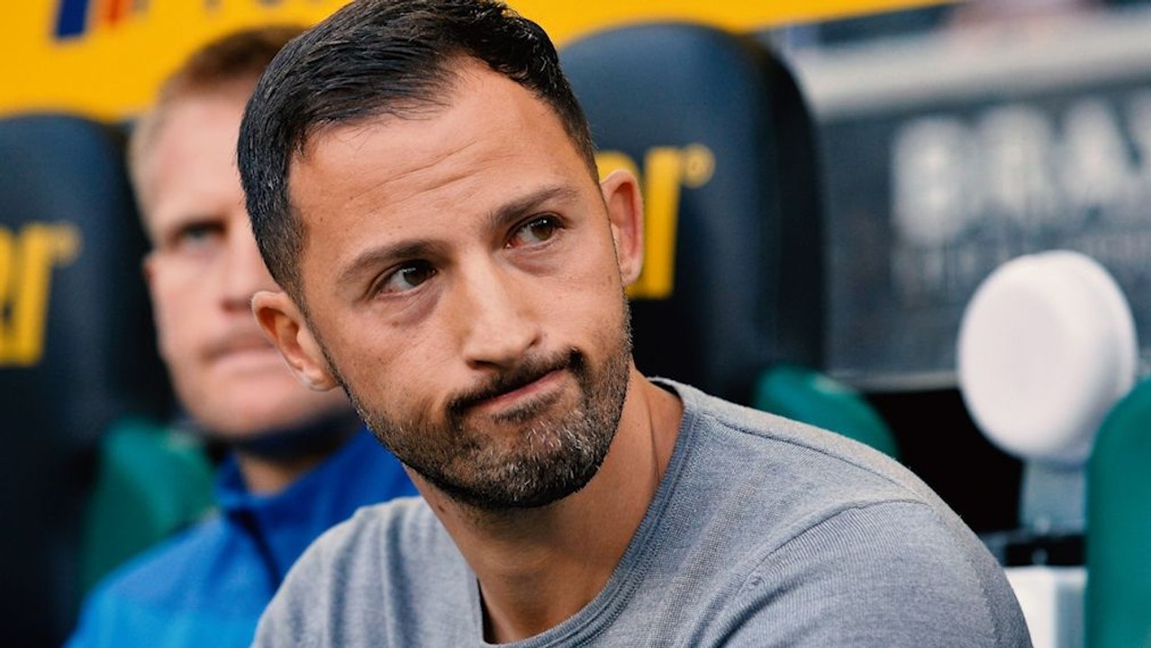 Hecking unterstützt Tedesco - 'Das ist erbärmlich'