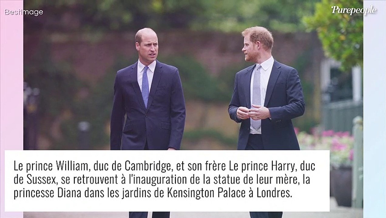 Prince Harry et William en froid durant l'inauguration de la statue de leur mère ?