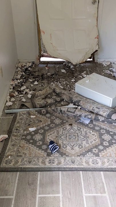Anxious Dogs Damage Door