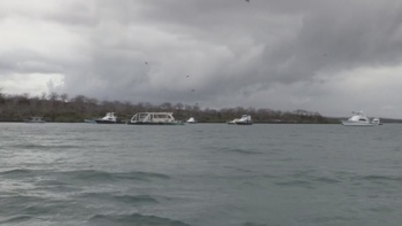 WWF pide a la OMC un acuerdo que ponga fin a los subsidios nocivos para la pesca