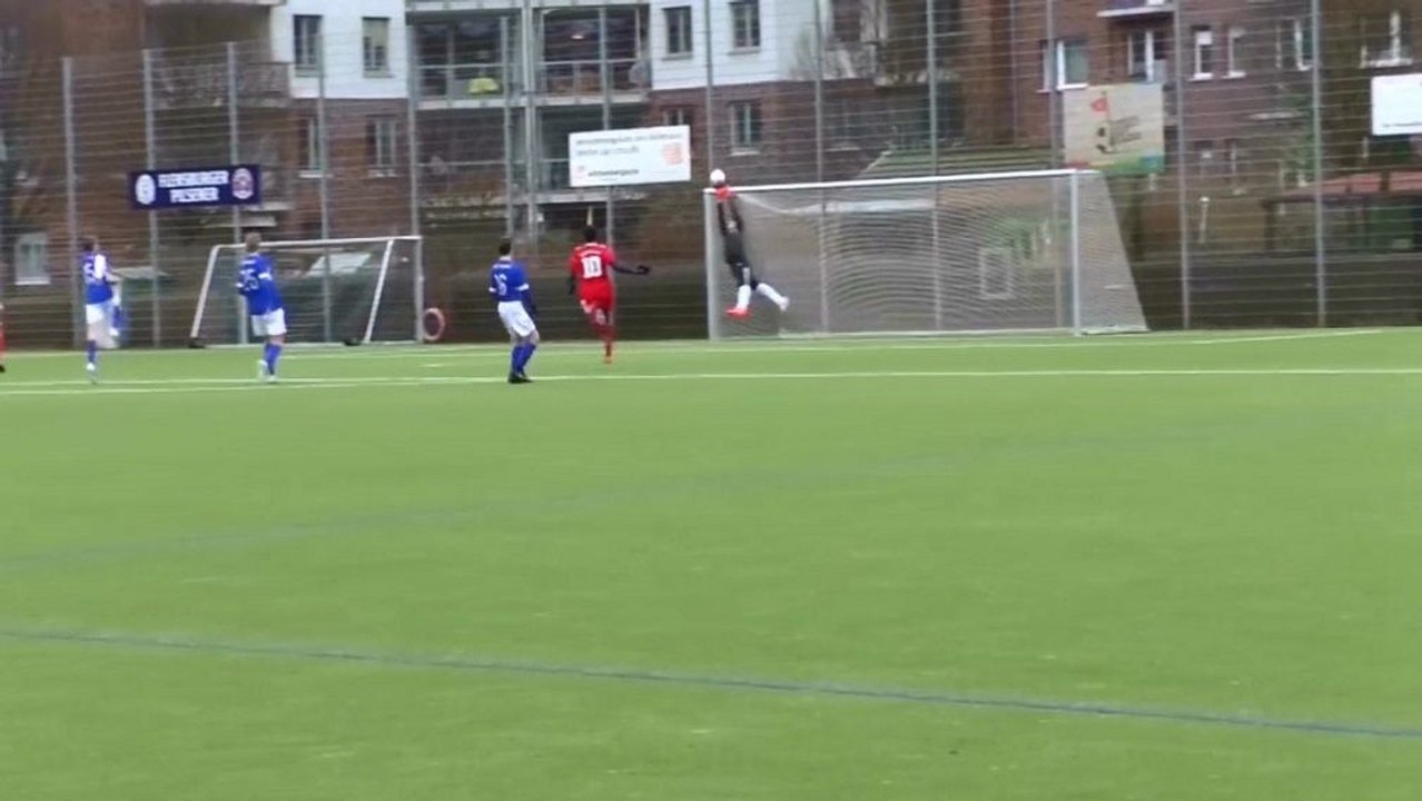 Hamburgs Hammer-Torhüter | Die Top-Paraden des Jahres