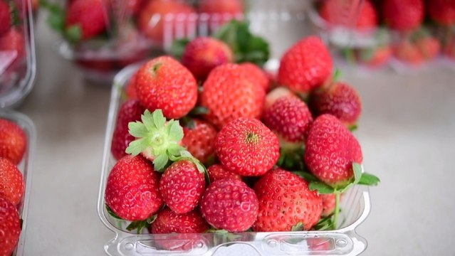 Seguridad alimentaria en riesgo por culpa del cambio climático, según estudio de la FAO
