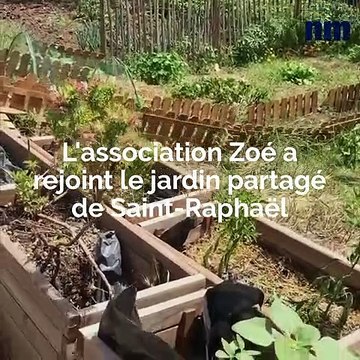 L’association Zoé cultive les graines de l’espoir