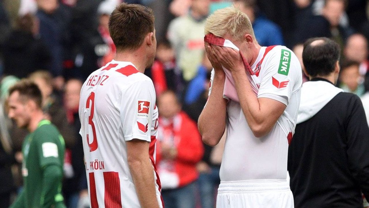 Warum Stöger nicht an Rücktritt denkt