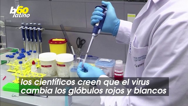 Los Científicos Pueden Haber Encontrado Una Explicación Para “Covid Largo” Que Puede Ayudar a Prevenir Futuras Pandemias