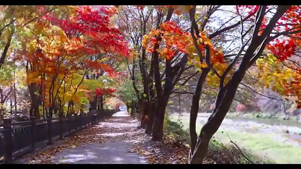 Instrumental music | Guitar | Relaxing music | Background music