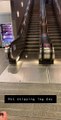 Un pigeon en pleine séance de sport sur un escalator