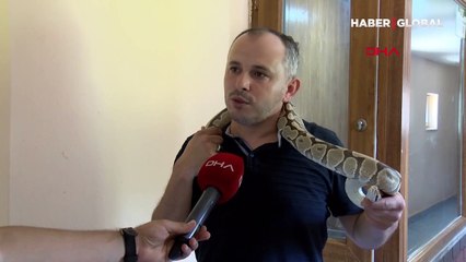 Gaziantep'te şaşkına çeviren olay! Yılanlara 'süt banyosu' yaptırıyorlar! İşte nedeni…