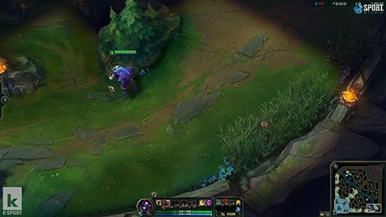 Die wichtigsten Wards in der Kluft der Beschwörer