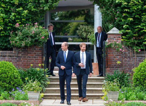 Prince William and Prince Harry Unveil the Princess Diana Statue Together