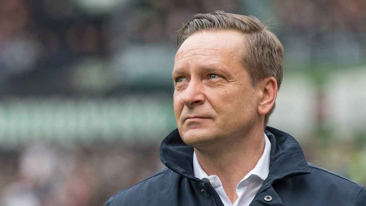 Heldt: 'Die Favoritenrolle muss man annehmen'
