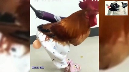 فيديوهات مضحكة 2021-Funny videos 2021
