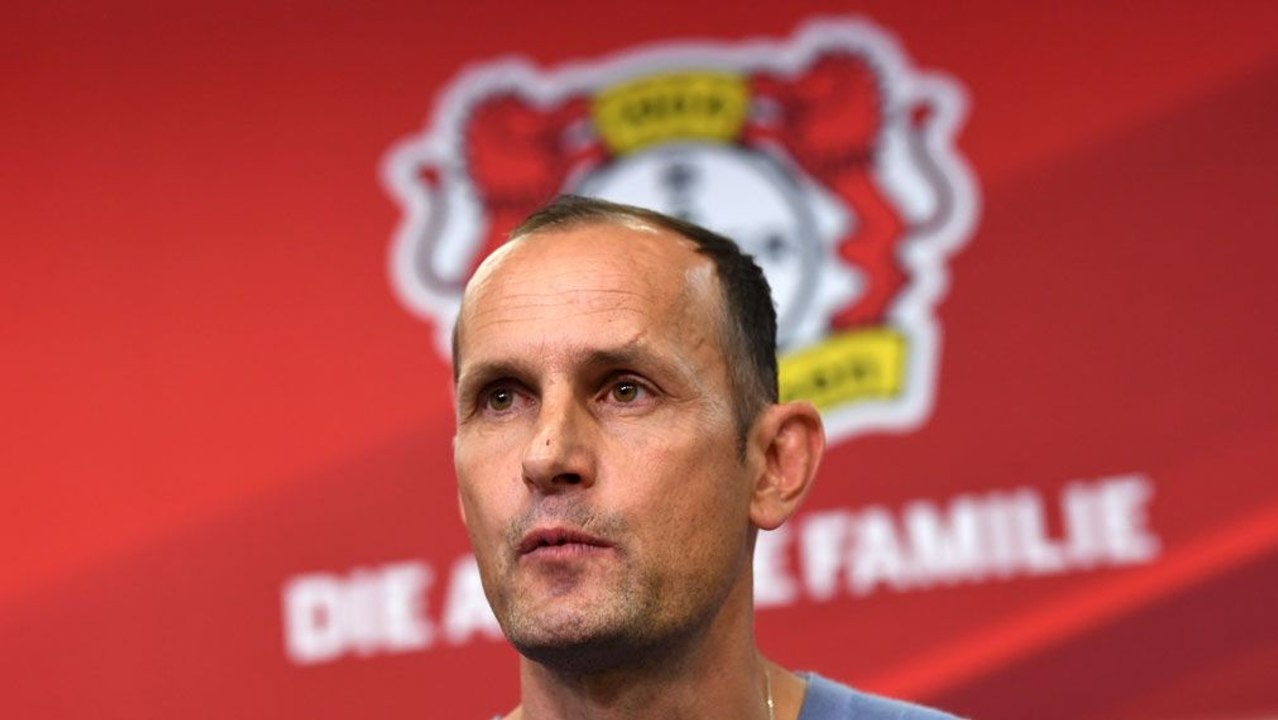 Plan C: Wie Leverkusen auf Herrlich kam