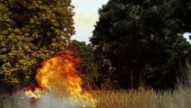 O combate aos incêndios florestais