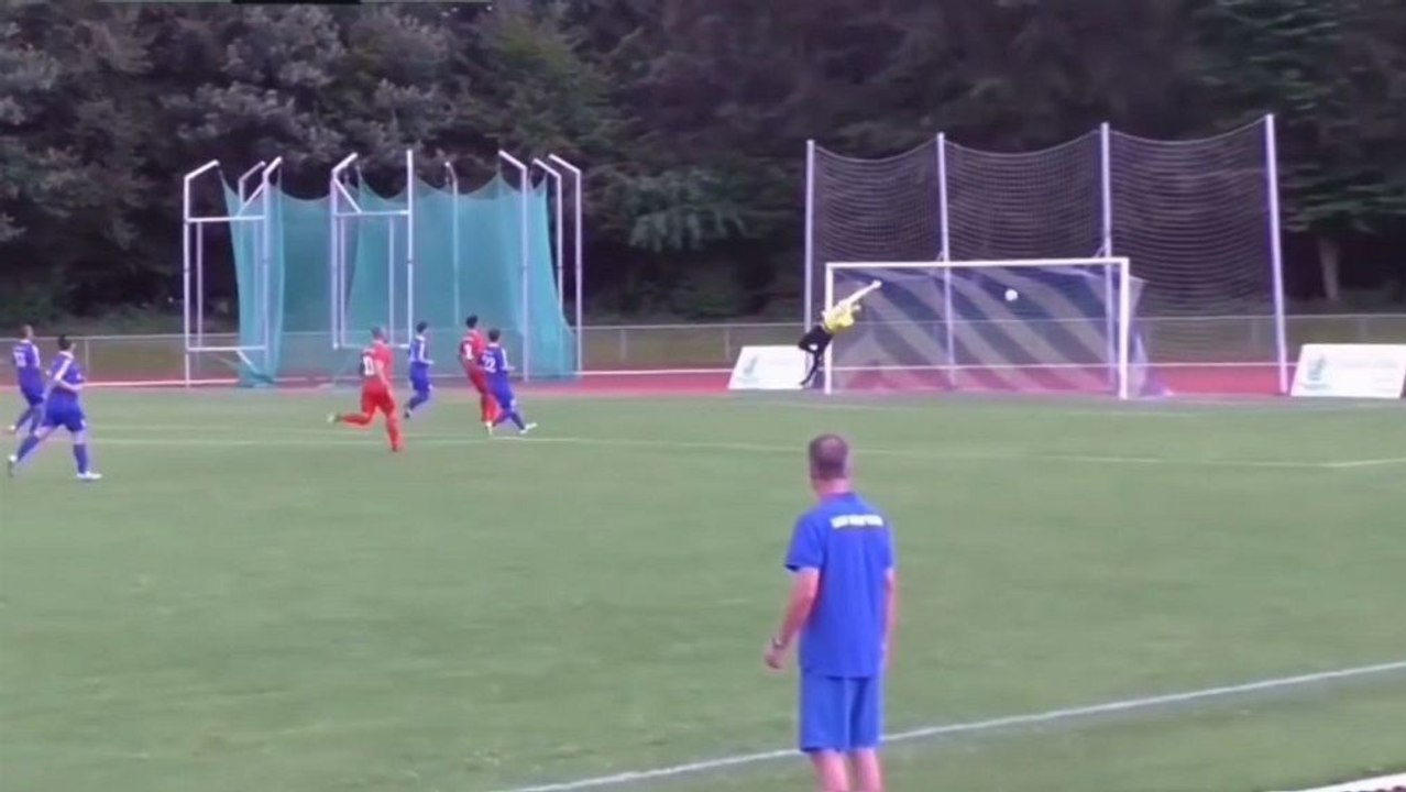 Mit Schnitt ins Netz