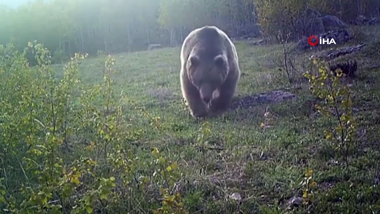 Doğa Koruma ve Milli Parklar ayının su ile eğlenme anını paylaştı