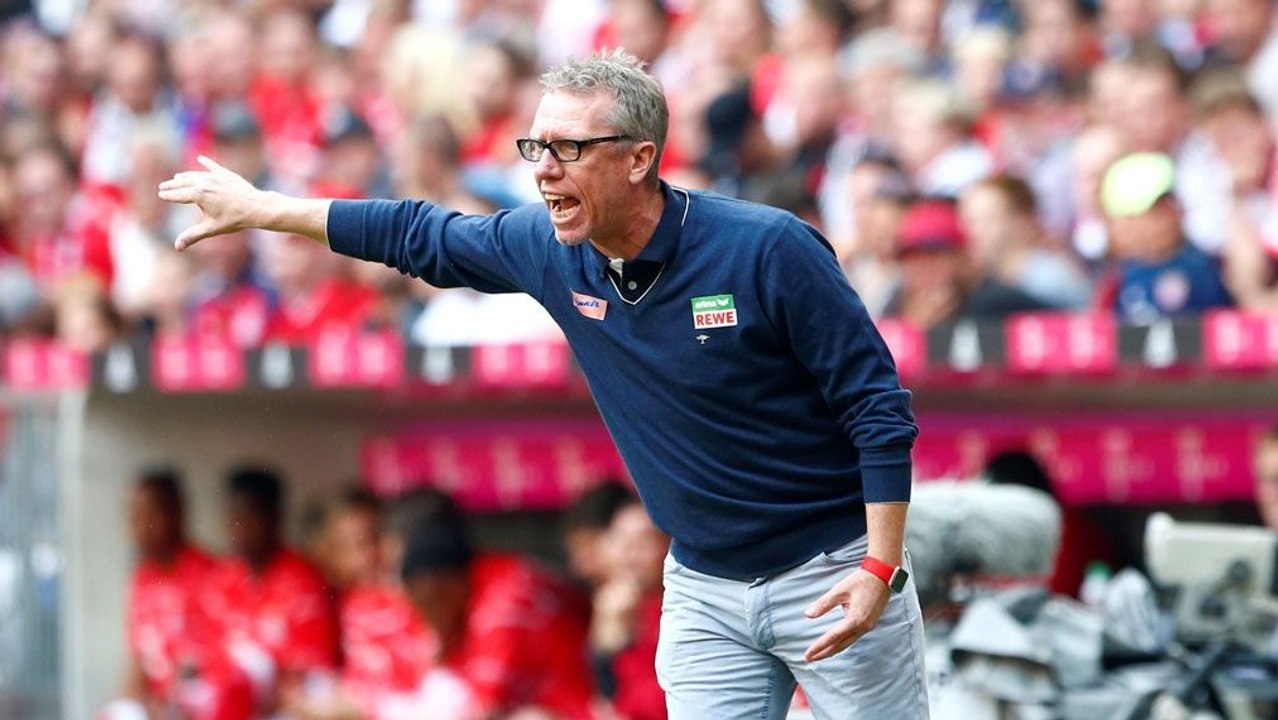 Stöger erklärt Strategie gegen Bayern: "Da gibt es Räume"