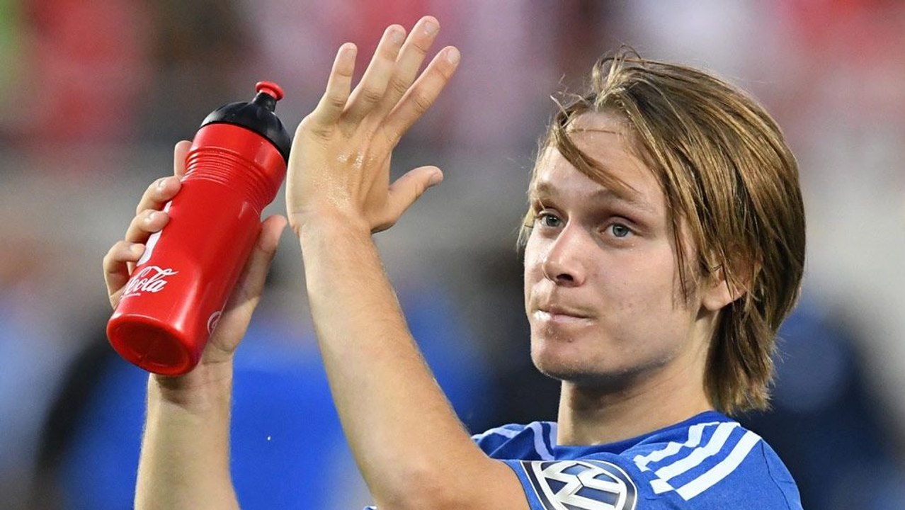 Van der Vaart schwärmt von Halilovic