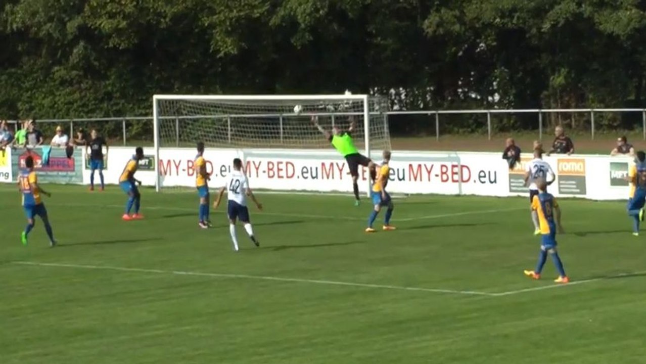 Atug rettet Dassendorf-Serie