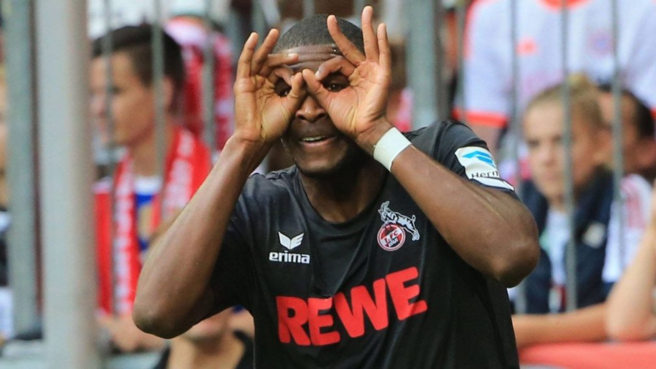 Bester FC-Start seit 1989 - Stöger sieht Korrekturbedarf