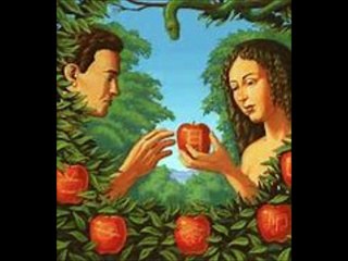 Bible Story, The first home