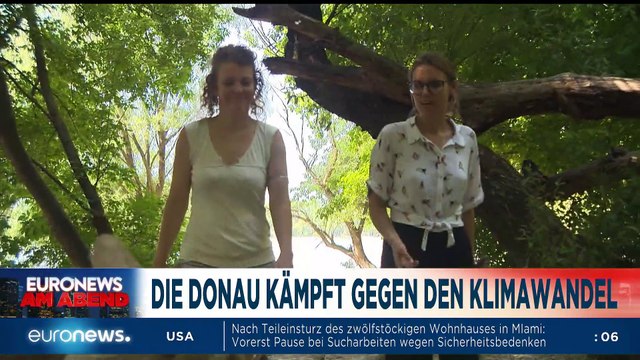 Start des digitalen Impfpass - lieber doch nicht reisen? Euronews am Abend 01.07.