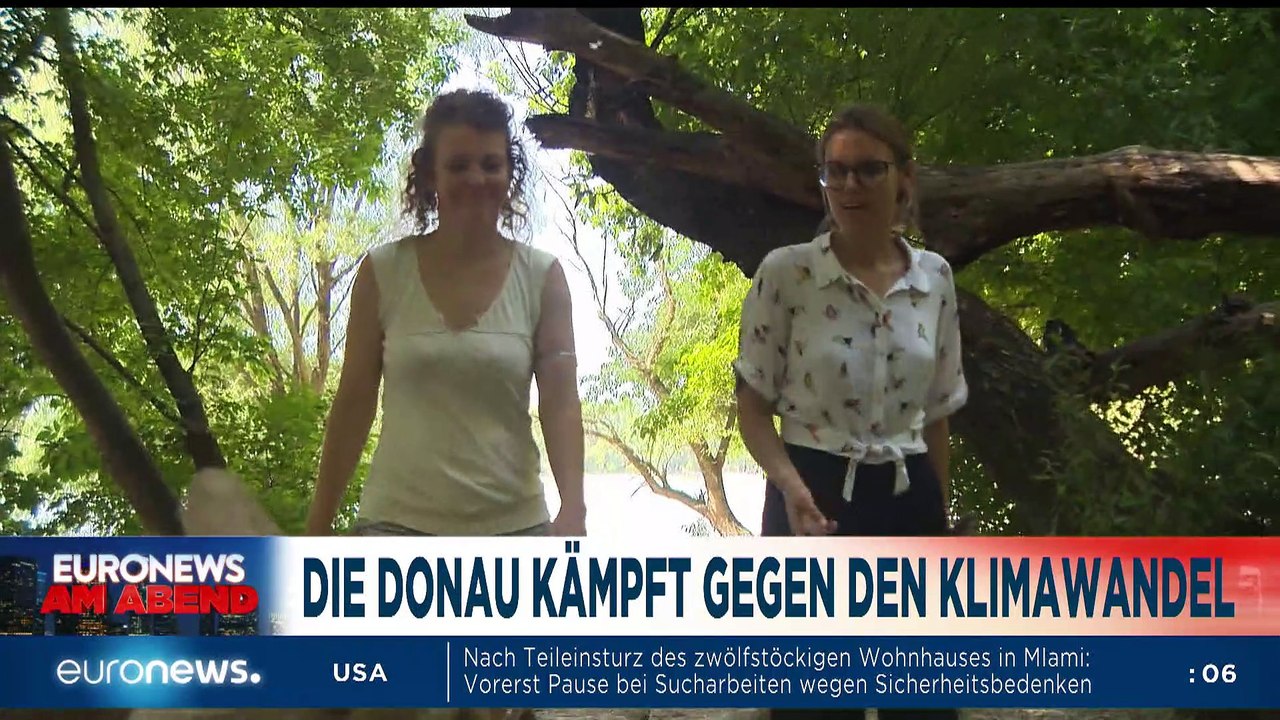 Start des digitalen Impfpass - lieber doch nicht reisen? Euronews am Abend 01.07.