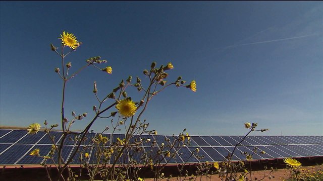 Суд во Франции обязал правительство пересмотреть экологическую политику