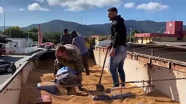 Megaoperação captura 20 toneladas de maconha em Rancho Queimado e é maior apreensão de 2021 em SC